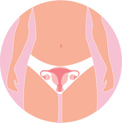 Female organs on the body of a girl uterus vector illustration