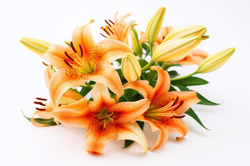 Bouquet de lys orange sur fond blanc » IA générative - obrazy, fototapety, plakaty