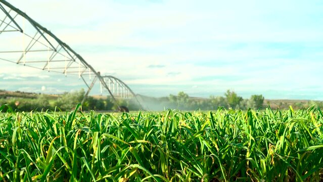Sistema de riego autom&aacute;tico para la agricultura en Espa&ntilde;a.