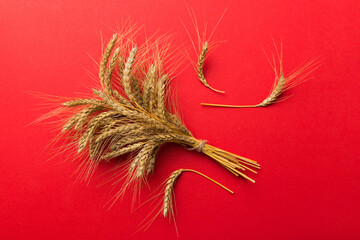 Sheaf of wheat ears close up and seeds on colored background. Natural cereal plant, harvest time...
