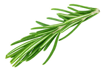 Fototapeta premium rosemary isolated on white background, full depth of field
