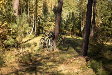 Fototapeta premium Two bikes in the forest