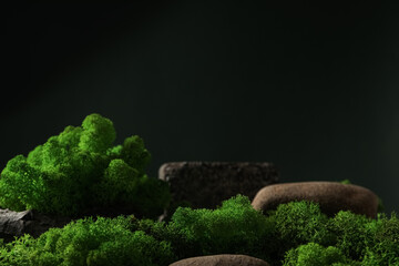 Moss, space for text, concept of different backgrounds