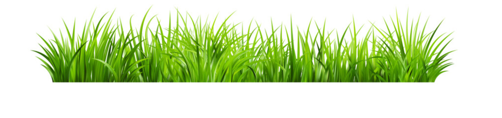 Obraz premium Realistic green grass. Bushes of fresh greens. Spring meadow.