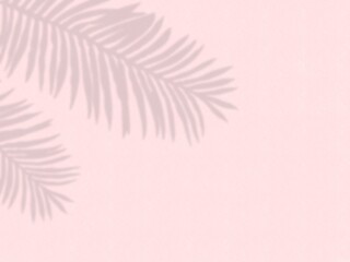 Pastel pink background, shadows on the wall, palm tree leaves