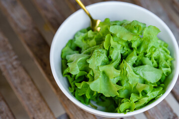 Lettuce is a plant that is commonly consumed fresh, eaten with salads and used to decorate dishes.