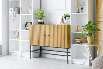 Interior of room with wooden cabinet and shelving units near white wall