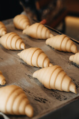 Various kind of bread with wheat top view. White bakery food concept panorama or wide banner photo.
