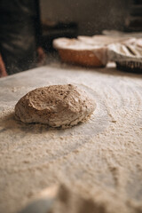 Various kind of bread with wheat top view. White bakery food concept panorama or wide banner photo.
