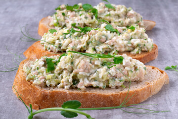 Bruschetta with cod liver, boiled eggs, scallion on wheat bread on grey table
