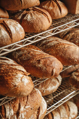 Various kind of bread with wheat top view. White bakery food concept panorama or wide banner photo.
