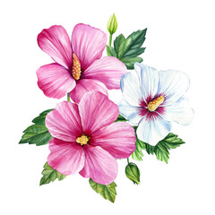 Hibiscus set on isolated white background, Watercolor vintage floral tropical elements. Watercolor flowers illustration
