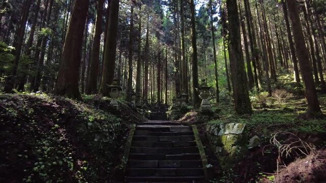 新緑の上色見熊野座神社