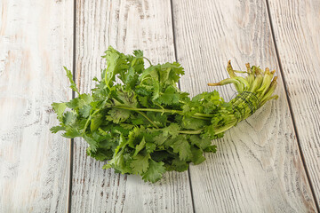 Green coriander leaves herb heap