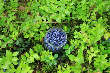 Angle view on the glass jar with fresh blueberries