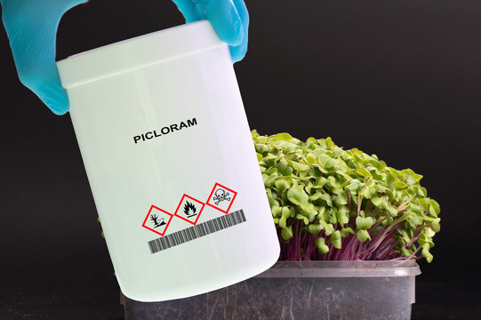  A herbicide used for controlling broadleaf weeds and woody plants.