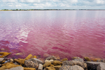 Landscape of the Salins pink coloured salt marshes. The Saltworks of Aigues Mortes in The Camargue. Popular travel destination and tourist attraction in the South of France.