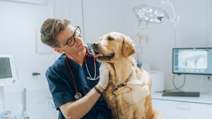 Young Handsome Veterinarian Petting a Noble Golden Retriever Dog. Healthy Pet on a Check Up Visit...