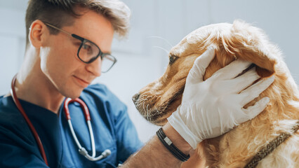 Young Veterinary Clinic Specialist Petting an Obedient Golden Retriever Dog. Healthy Pet on a Check...