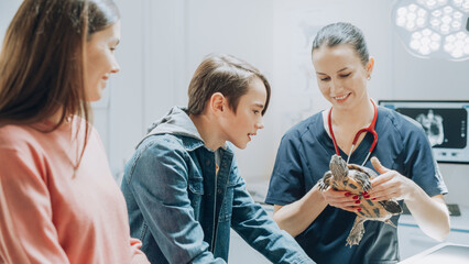 Young Mother and Son Bring a Tortoise to a Contemporary Veterinary Clinic for a Check Up Visit....