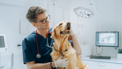 Portrait of a Young Veterinarian in Glasses Petting a Noble Healthy Golden Retriever Pet in a Modern Veterinary Clinic. Handsome Man Looking at Camera and Smiling Together with the Dog. Static Footage - obrazy, fototapety, plakaty