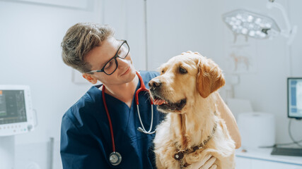 Young Veterinary Clinic Specialist Petting an Obedient Golden Retriever Dog. Healthy Pet on a Check...