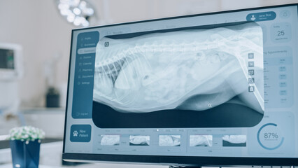 Desktop Computer Screen with Veterinary Clinic Online Medical Database Software with a Number of Pet X-Ray Scans with Possible Bone Fracture. Digital Display with Information About the Pet