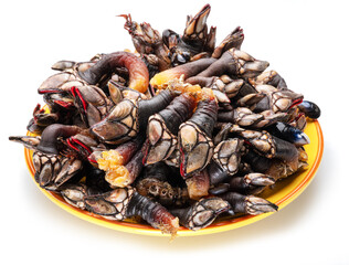 Raw goose barnacles on yellow plate on white background.