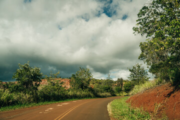 Fototapeta na wymiar beautiful road through the nature of kauai, hawaii