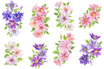 Clematis flowers, bouquet on isolated background, watercolor botanical painting. Flora for Wallpaper, Print, Fabric, 