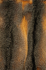 Textur Fell und Pelz.