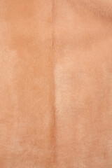 Fototapeta premium Textur Fell und Pelz.