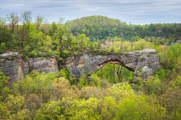 Fall Day at Natural Scenic Rock in Daniel Boone National Forest