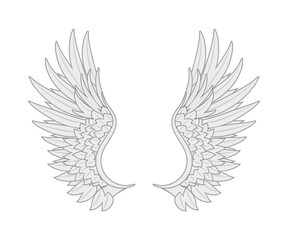 Obraz premium white angel wings many feathers beauty. vector new