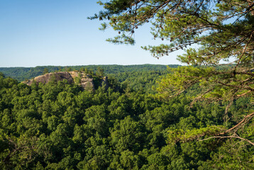 Obraz premium The Red River Gorge Geological Area in Kentucky