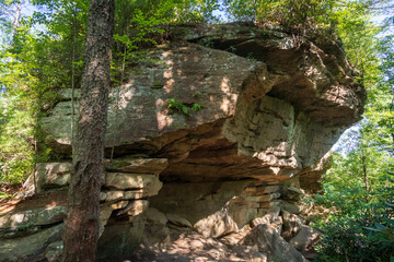 The Red River Gorge Geological Area in Kentucky