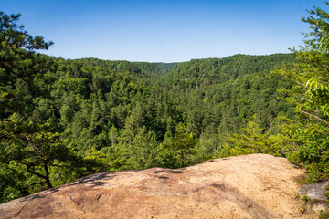 The Red River Gorge Geological Area in Kentucky
