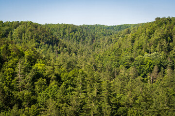 Fototapeta na wymiar The Red River Gorge Geological Area in Kentucky
