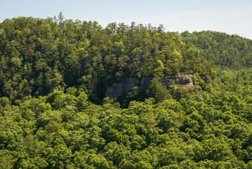Obraz premium The Red River Gorge Geological Area in Kentucky