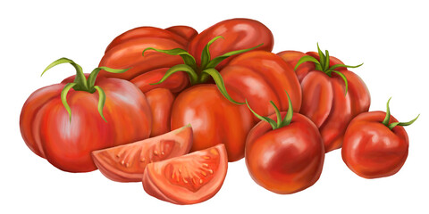 A large composition of red ripe tomatoes of different varieties. Slices, halves, cherry tomatoes. Digital illustration on a white background. For packaging design, postcards, prints, textiles.
