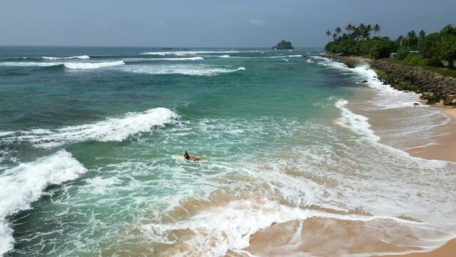 Young female surfer rowing on surfboard from the shore into the ocean at tropical beach at sunrise aerial view. Surfing girl enjoying water sport paddling and surfing on summer vacation drone shot