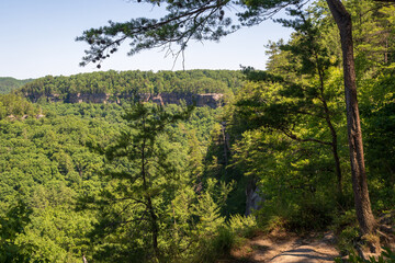 The Red River Gorge Geological Area in Kentucky