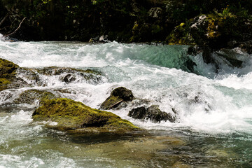 Fototapeta premium Vintgar Gorges near Bled in Slovenia