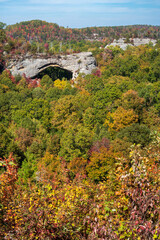 Fall Day at Natural Scenic Rock in Daniel Boone National Forest