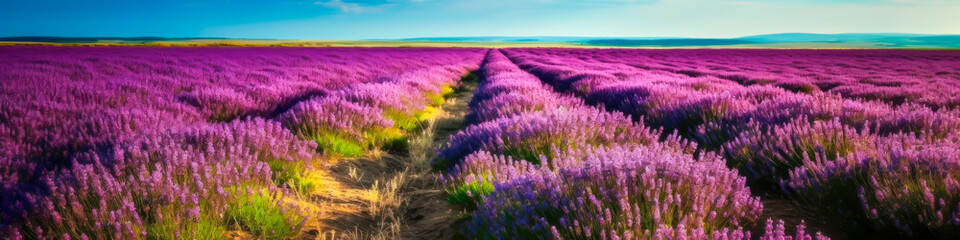 Fototapeta na wymiar beautiful field of violet spring, summer, flowers, generative ai
