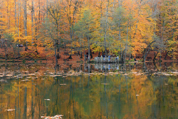yedigoller -  yedigöller autumn colors in bolu turkey