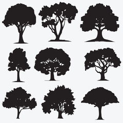 Different type trees silhouette vector illustration set. collection of trees