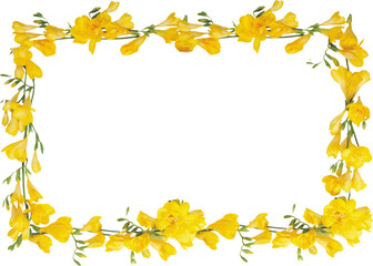 Colorful wild flower background with watercolor