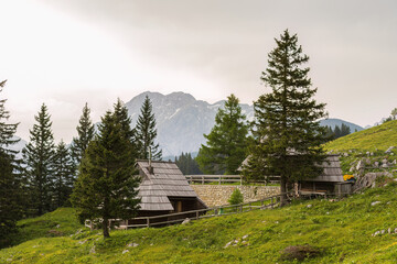 Slovenia farmers hill - Velika Planina