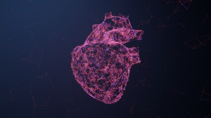 Digital human body heart nodes